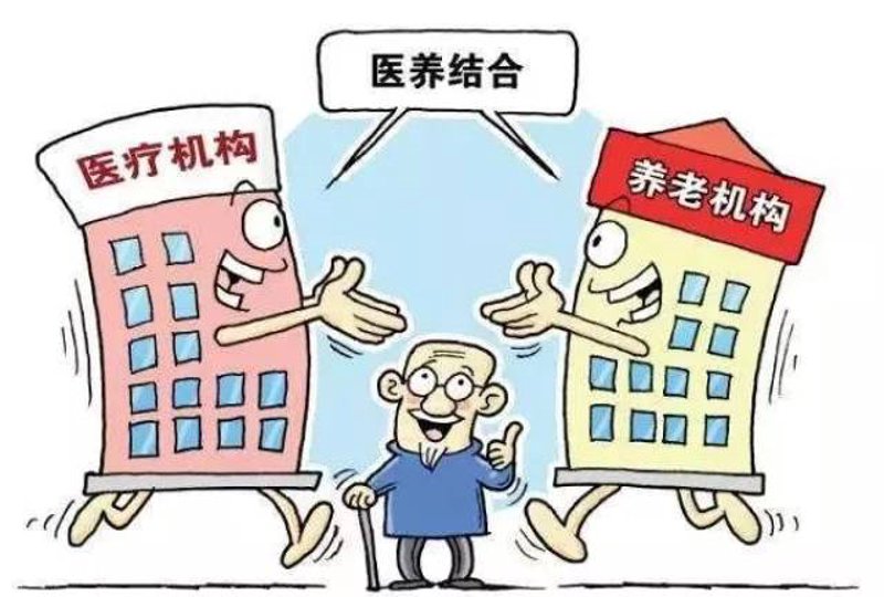 失能老人护理:一种责任与温暖同行的姿态
